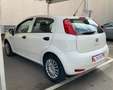 Fiat Punto Pequeño Manual de 5 Puertas Blanco - thumbnail 7