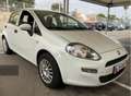 Fiat Punto Pequeño Manual de 5 Puertas Blanco - thumbnail 6