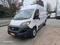 Fiat Ducato 30 2.3 MJT 120CV PM-TM Furgone Blanc - thumbnail 1