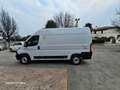 Fiat Ducato 30 2.3 MJT 120CV PM-TM Furgone Blanco - thumbnail 8