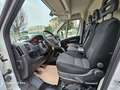 Fiat Ducato 30 2.3 MJT 120CV PM-TM Furgone Bianco - thumbnail 10