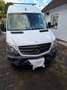 Mercedes-Benz Sprinter 316 CDI Mittel.Lang.Hochdach LKW Zul. 3,5 Tonnen Білий - thumbnail 11