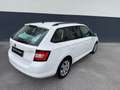 Skoda Fabia **KLIMA*PICKERL*8 FACH BEREIFT** Weiß - thumbnail 5