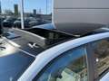 Jeep Avenger 1.2 GSE T3 Summit inklusive Panoramaglasdach, J... Grau - thumbnail 3