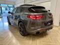 Alfa Romeo Stelvio Stelvio 2020 2.2 t Veloce Ti Q4 210cv auto Gris - thumbnail 6