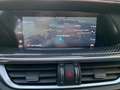Alfa Romeo Stelvio Stelvio 2020 2.2 t Veloce Ti Q4 210cv auto Gris - thumbnail 16