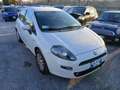 Fiat Punto 1.3 MJT II 75 CV 5 porte Weiß - thumbnail 1