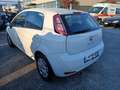 Fiat Punto 1.3 MJT II 75 CV 5 porte Weiß - thumbnail 6
