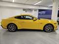 Ford Mustang Fastback 5.0 V8 aut. GT Geel - thumbnail 7