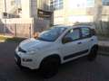 Fiat Panda 4x4 benzina Bianco - thumbnail 2