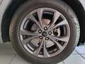 Ford Kuga 1.5 Ecoblue 120cv ST-Line 2wd Grigio - thumbnail 11