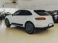 Porsche Macan 2.0 252cv pdk Bianco - thumbnail 4