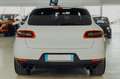 Porsche Macan 2.0 252cv pdk Bianco - thumbnail 5