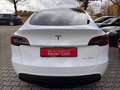 Tesla Model Y Long Range Dual AWD - thumbnail 16