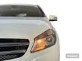 Mercedes-Benz A 160 A 160 CDI Executive Weiß - thumbnail 2