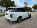 Land Rover Range Rover SDV8 STARTECH*WIDEBODY*23`*EXCLUSIVE Weiß - thumbnail 5