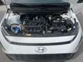 Hyundai BAYON Bayon i-Line Plus 1,2 MPI y1bp1-02 Weiß - thumbnail 19