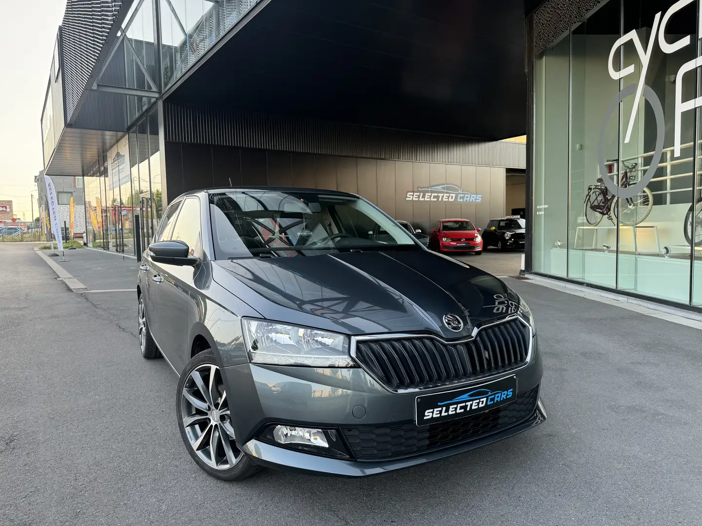 Skoda Fabia 1.0 MPI Ambition Серый - 1