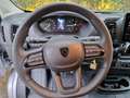 Peugeot Boxer & e- Zilver - thumbnail 10