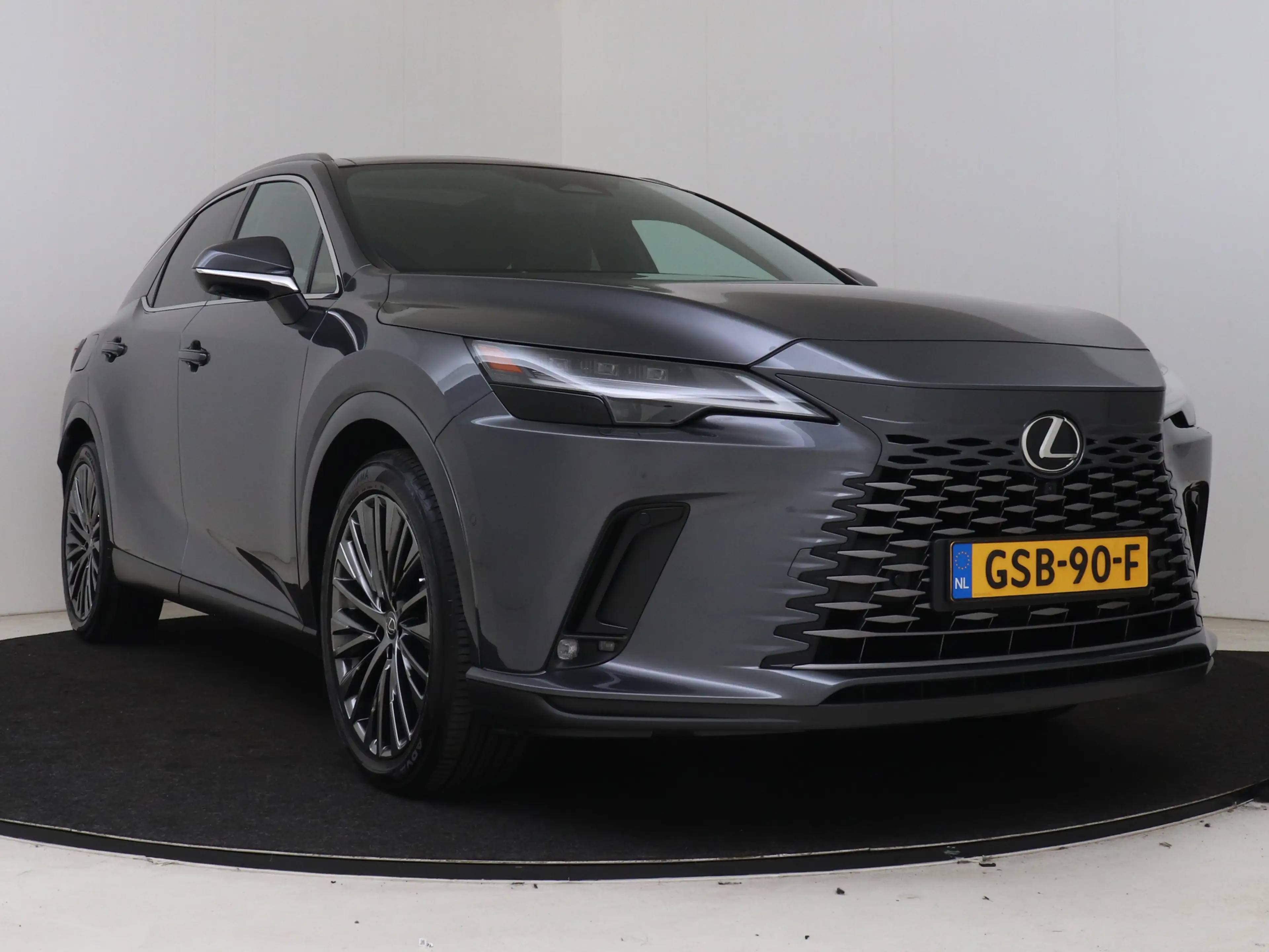 Lexus RX 450h 450h+ Plug-in Hybrid President Line | Mark Levinso — photo 12