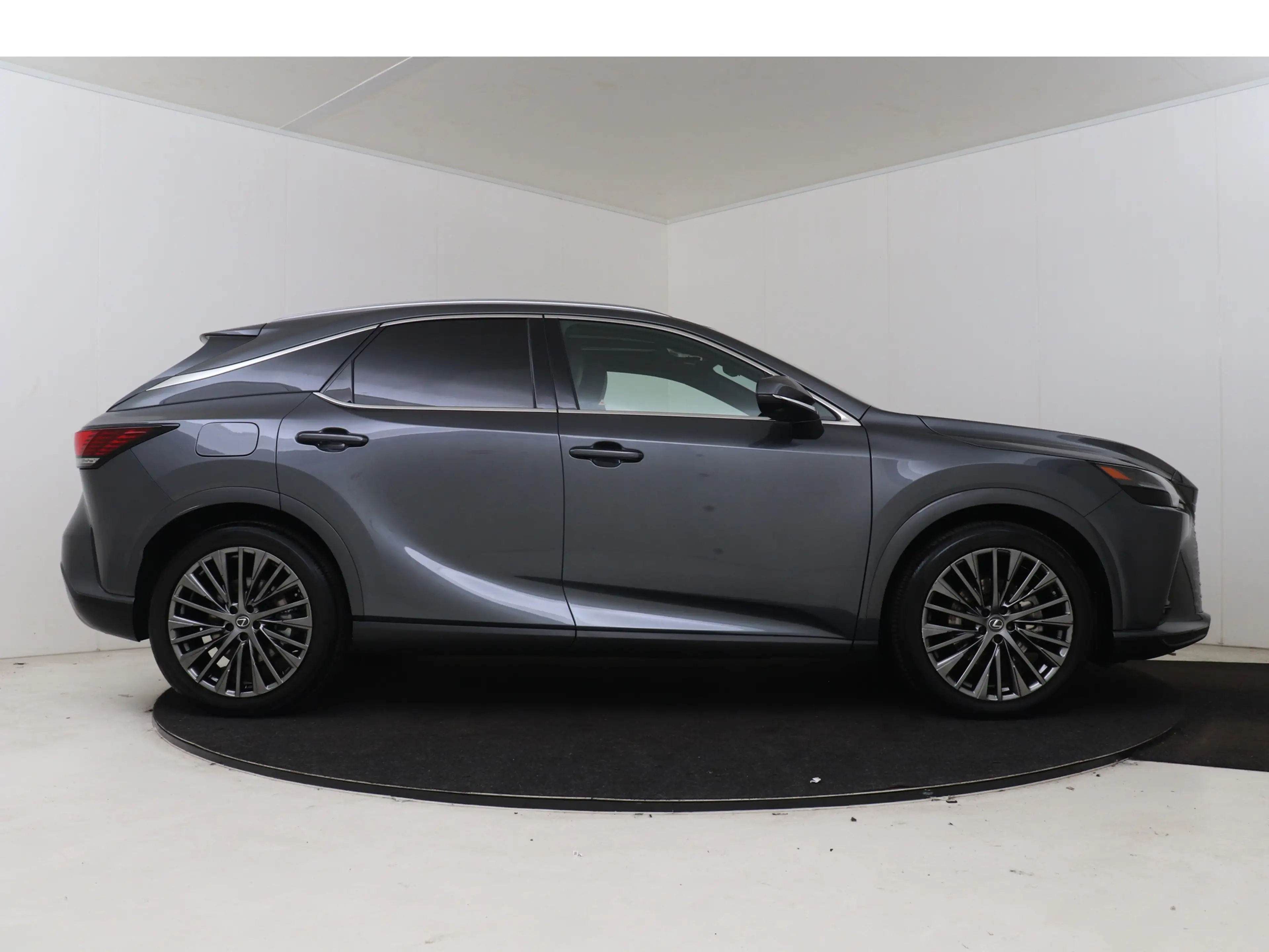 Lexus RX 450h 450h+ Plug-in Hybrid President Line | Mark Levinso — photo 11