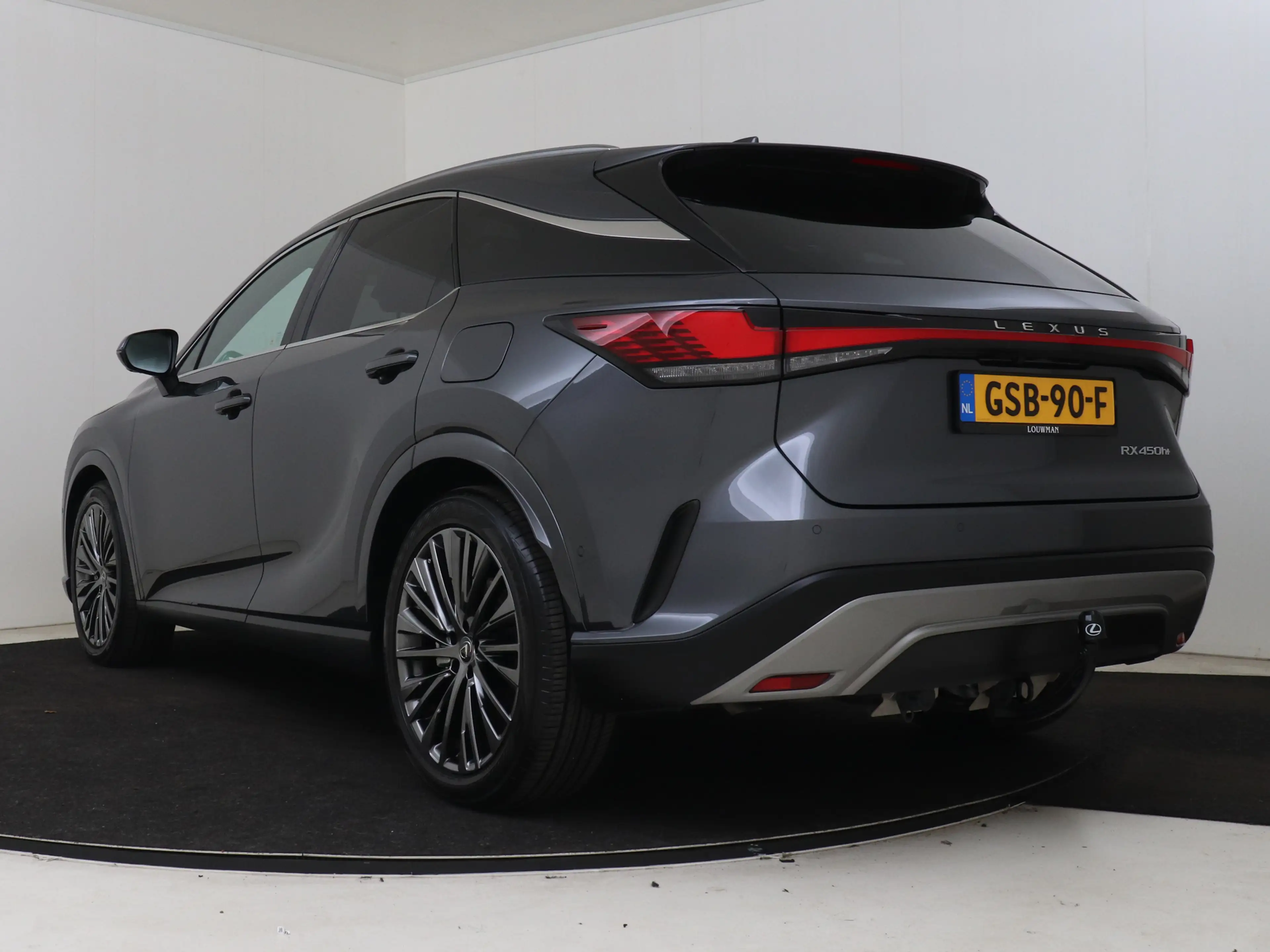 Lexus RX 450h 450h+ Plug-in Hybrid President Line | Mark Levinso — photo 13