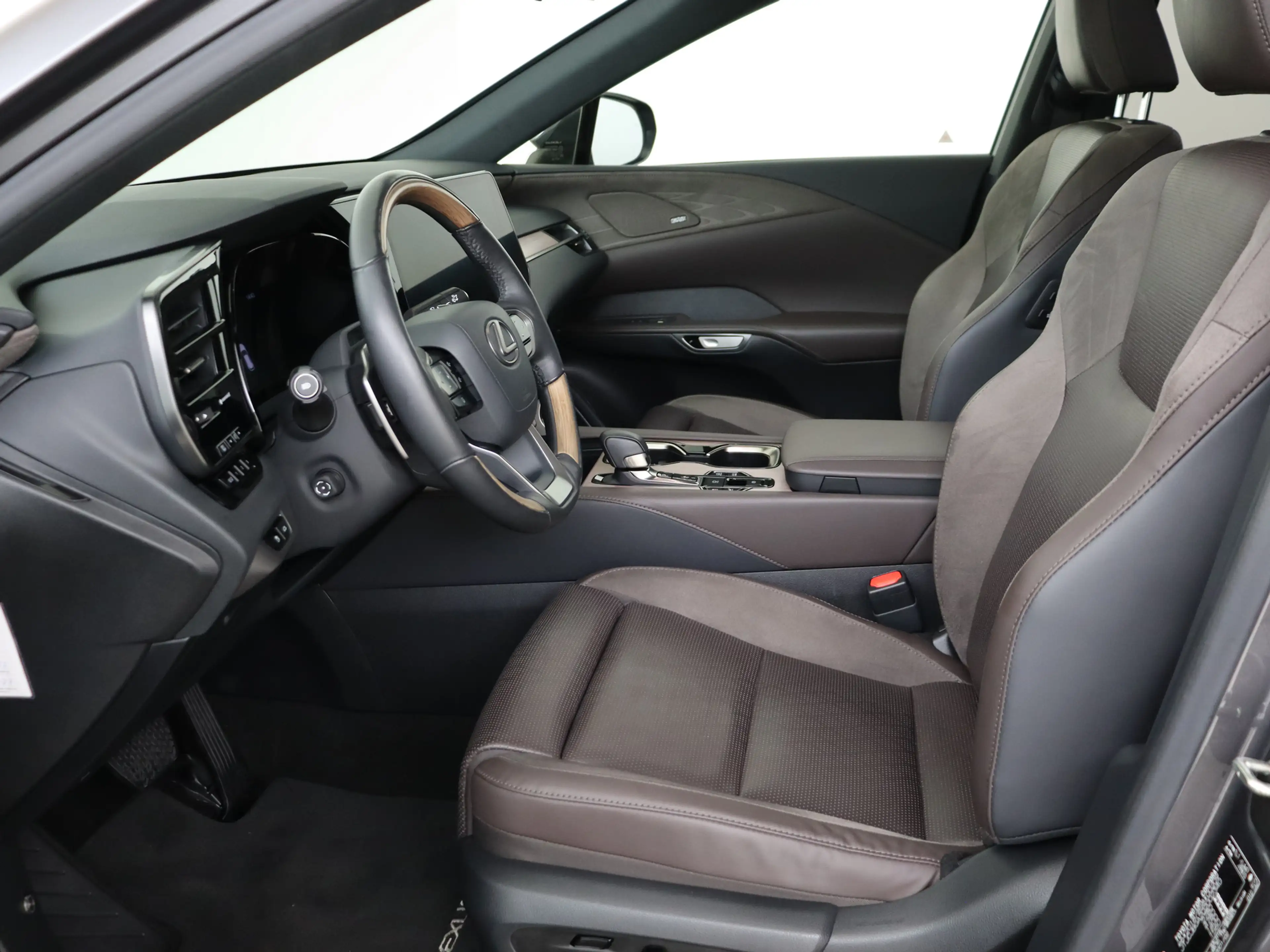 Lexus RX 450h 450h+ Plug-in Hybrid President Line | Mark Levinso — photo 14