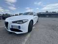Alfa Romeo Giulia 2.2 t Business 136cv auto - thumbnail 2