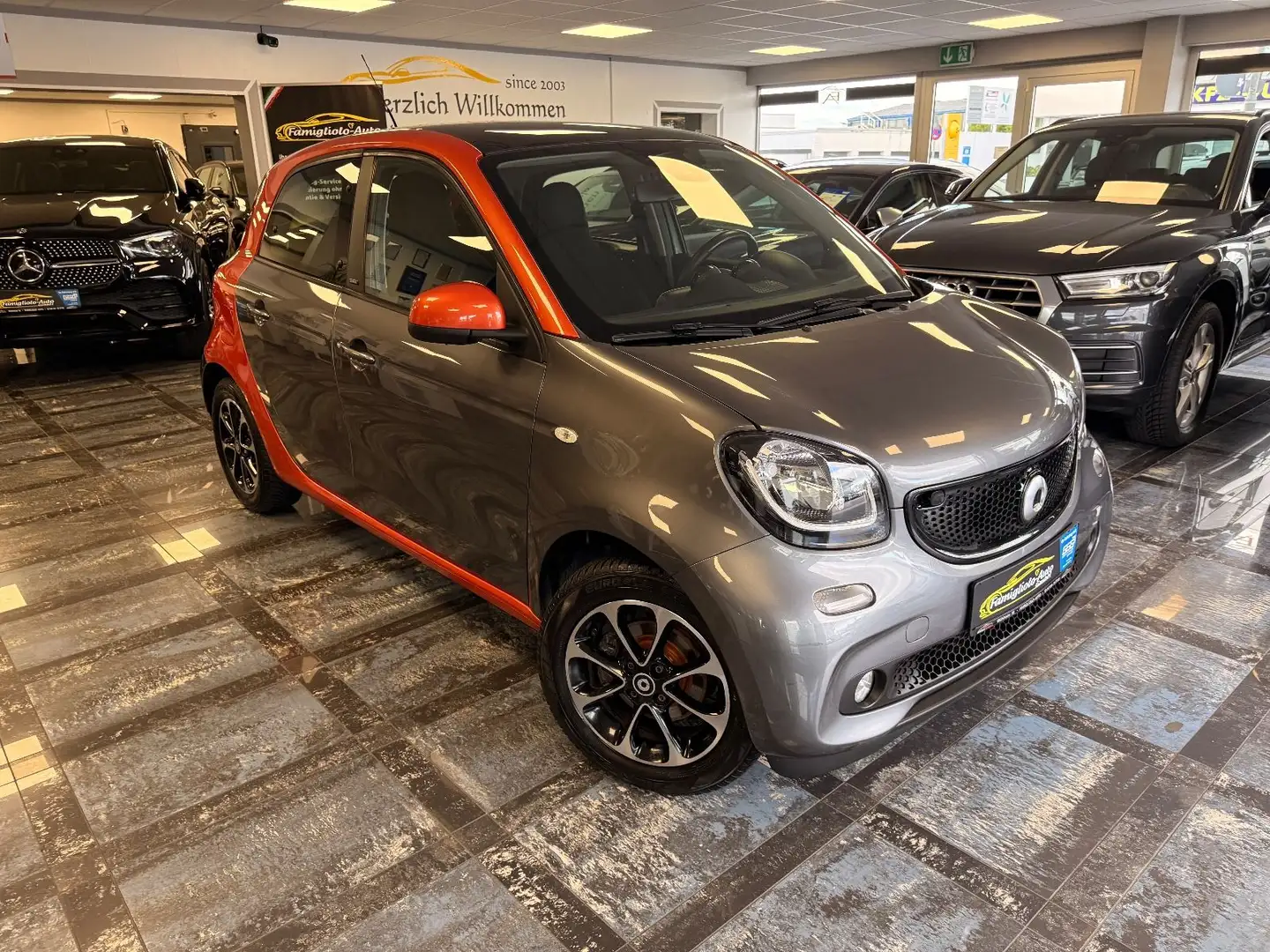 smart forFour /Panoramadach/Navigation/Ambiente/ Gris - 2