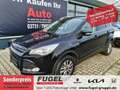 Ford Kuga 1.5 EcoBoost Sync Edition AHK|Winter|SHZ|Klimaaut. Schwarz - thumbnail 1