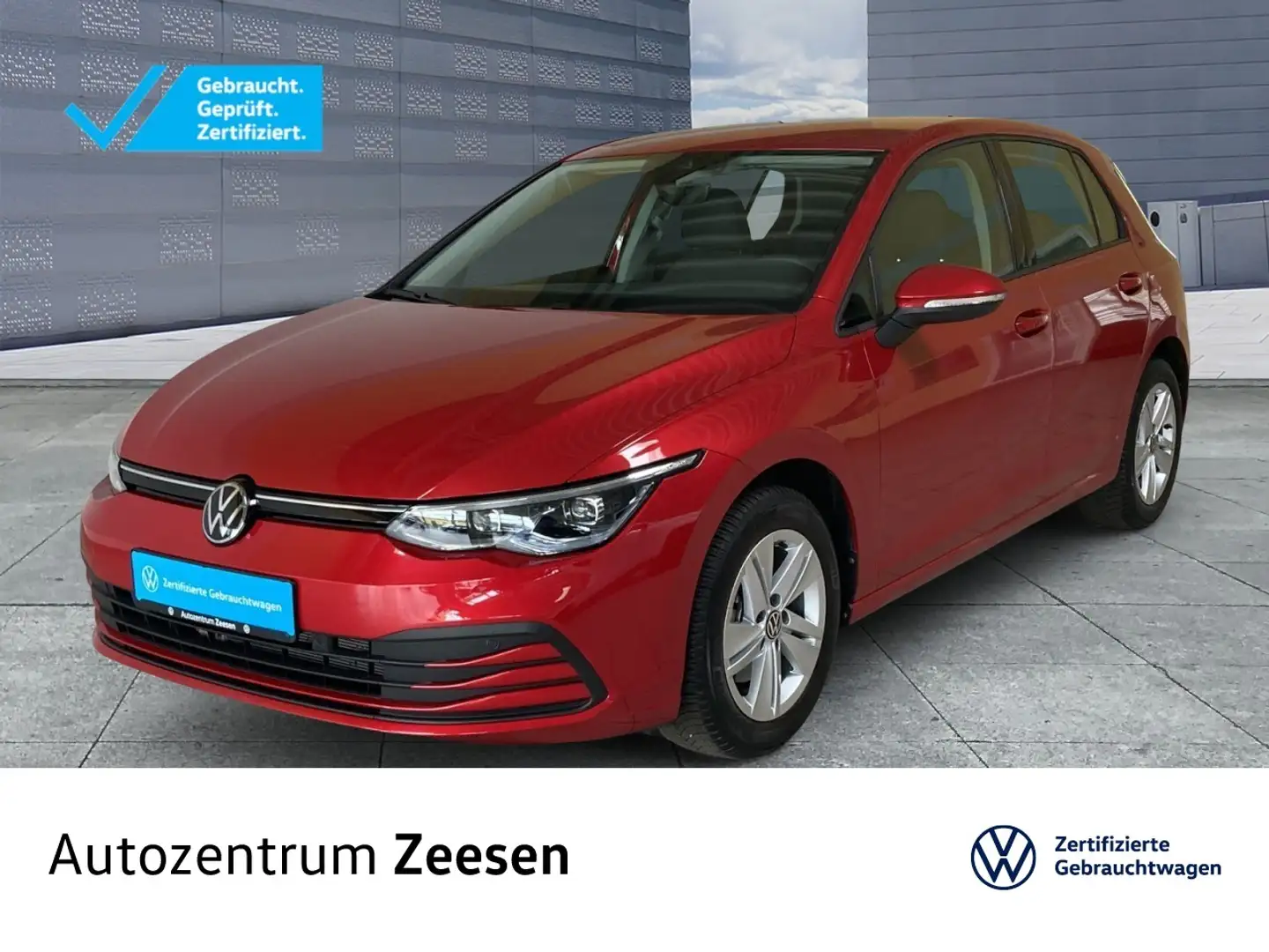 Volkswagen Golf VIII 1.0 TSI Life+SHZ+DAB+USB+EPH+LWS+MAL+ Klima Rouge - 1