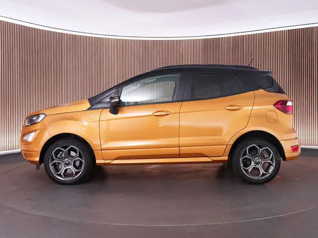 Ford EcoSport view 12
