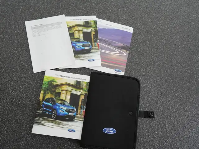 Ford EcoSport view 14