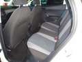 SEAT Arona 1.0 TSI Ecomotive S&S Style 95 Bianco - thumbnail 5