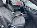 Ford Kuga Hybrid 2.5 ST-Line Kamera Navi LED 18 Zoll Gris - thumbnail 12