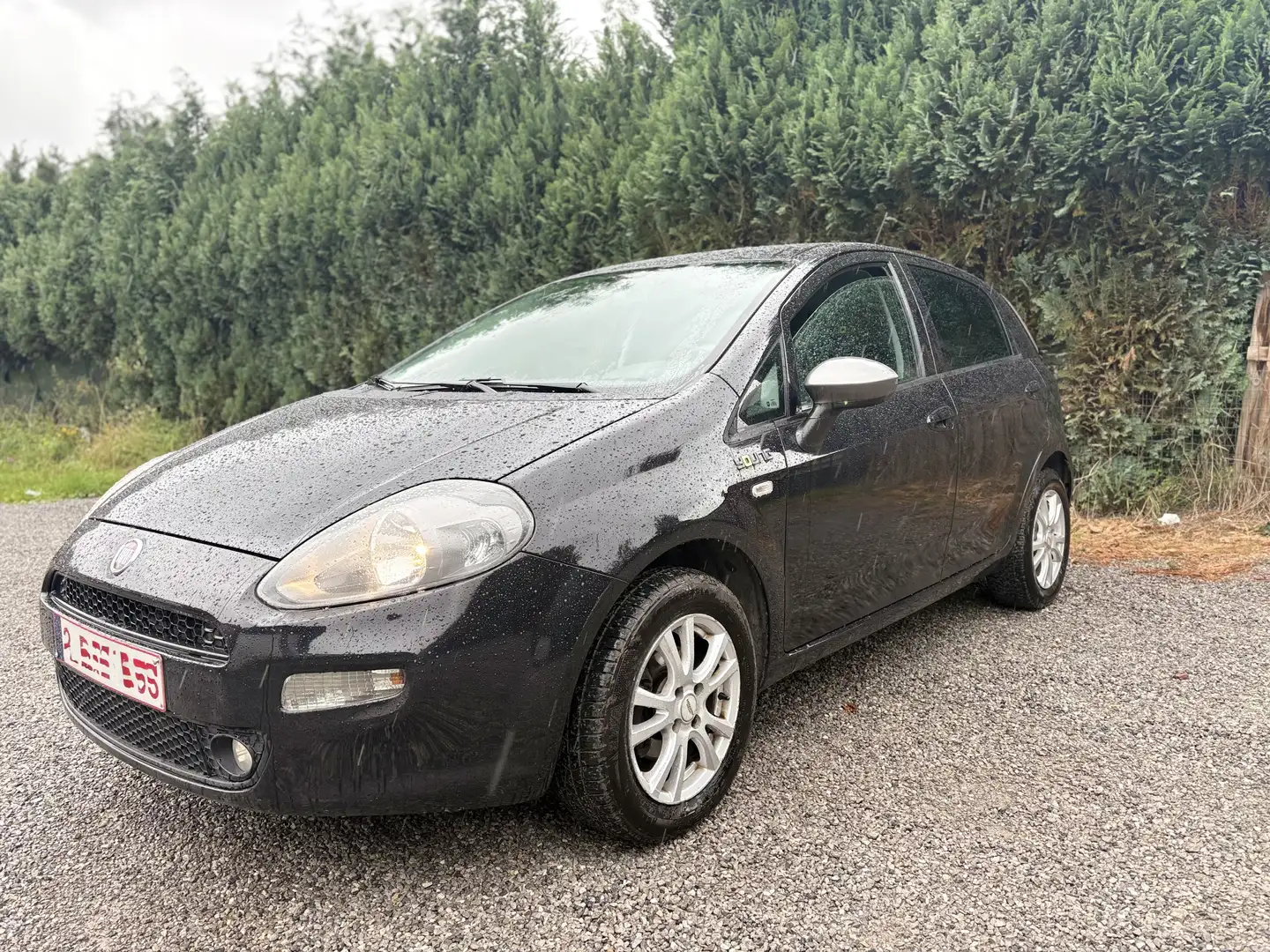 Fiat Punto - 1