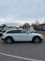 Audi A4 allroad quattro 3.0 TDI clean diesel Navi Weiß - thumbnail 2
