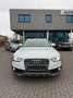 Audi A4 allroad quattro 3.0 TDI clean diesel Navi Weiß - thumbnail 19