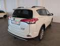 Toyota RAV 4 RAV4 Hybrid Edition Weiß - thumbnail 11