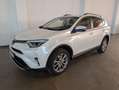Toyota RAV 4 RAV4 Hybrid Edition Weiß - thumbnail 2