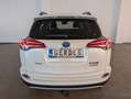 Toyota RAV 4 RAV4 Hybrid Edition Weiß - thumbnail 10