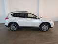 Toyota RAV 4 RAV4 Hybrid Edition Weiß - thumbnail 7