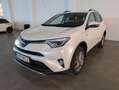 Toyota RAV 4 RAV4 Hybrid Edition Weiß - thumbnail 4