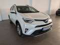 Toyota RAV 4 RAV4 Hybrid Edition Weiß - thumbnail 6