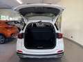 DR Automobiles DR4.0 1.5 GPL BI FUEL CON PROMO PLUS Weiß - thumbnail 8