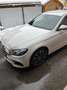 Mercedes-Benz E 220 E 220 d Aut. Weiß - thumbnail 12