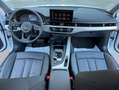 Audi A4 30 2.0 tdi mhev S line edition S-tronic km8.650! Bianco - thumbnail 14