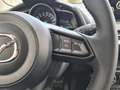 Mazda 2 Skyactiv G90 Homura Aut. RKam Shz PTS Klima Rosso - thumbnail 14