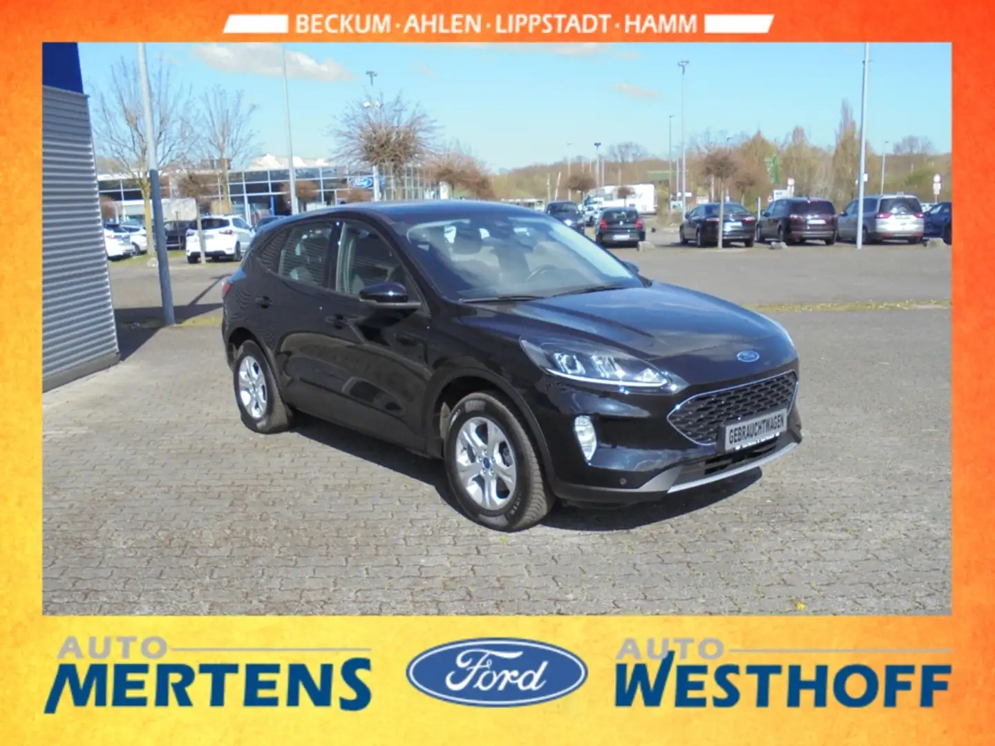 Ford Kuga PHEV C & C 2.5 Navi Sitzheizung GJR PDC Schwarz - 2