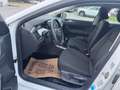 Volkswagen Polo 1,6 TDI SCR Comfortline / 1BESITZ / Weiß - thumbnail 19